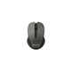 Мишка Canyon MW-1 Wireless Gray (CNE-CMSW1G) - изображение 1