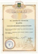 Магниевое масло хлористый магний Dr.Magnesium oil Магній 100 мл - изображение 5