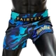 Шорты для тайского бокса Fairtex BS1916 Golden Jubilee (BS1916-XL) - изображение 3