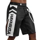 Шорты для MMA Hayabusa Icon Fight Shorts Black White (HIFS-BW-XXL) - изображение 2