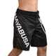 Шорты Hayabusa Chikara 4 Fight Shorts - Black (HC4FS-BK-34) - изображение 2