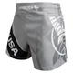 Шорты Hayabusa Kickboxing Shorts 2.0 - Grey (HKS2-GR-32) - изображение 1