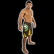 Шорты MMA Venum All Sports Brazil Edition - Black (V-ASBE-L) - изображение 3
