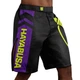 Шорты для MMA Hayabusa Icon Fight Shorts Black Neon (HIFS-BN-M) - изображение 2