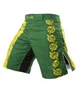 Шорты Hayabusa Instinct Fightshorts (Sh-Instinct-34) - изображение 3