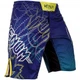 Шорты Venum Carioca 4.0 Fightshorts Navy Blue (02774-018-L) - изображение 2