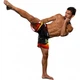 Шорты MMA Venum Lyoto Machida Tatsu King Fightshorts (V-015-S) - изображение 12
