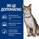 Корм Hill's PD Feline K/D сухий з куркою при захворюваннях нирок у котів 1.5 кг - зображення 2