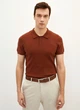 Мужское поло LC Waikiki XXL Коричневое (LCW polo-8501) - изображение 1