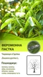 Феромонна пастка Дельта на червицю в'їдливу (Zeuzera pyrina) - зображення 1