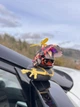 Автомобильная утка у шоломі с автоматом Шалена качка "серця" - зображення 3