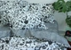 Комплект постельного белья с компаньоном (R-T9255) Семейный TAG tekstil 000210655 - изображение 2