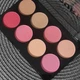 Палетка румян Technic Color Fix Blush Palette - изображение 4