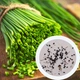 Цибуля Шнітт насіння 1 грам (прибл. 800 шт) (Allium schoenoprasum) багаторічна на зелень перо лук скорода - зображення 1