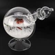 Барометр Штормгласс RESTEQ глобус большой, капля Storm glass на стеклянной подставке с красной розой - изображение 2