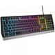 Клавиатура игровая Genesis NKG-1823 Rhod 300 RGB Backlight проводная USB 104кн черная - изображение 1