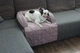 Лежак для Собак и Котов на диван Haustier Sofa Bed Powder S - 60х90х15см (S9-1-028) - изображение 7