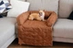 Лежак для Собак и Котов на диван Haustier Sofa Bed Gold S - 60х90х15см (S9-1-041) - изображение 1