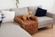 Лежак для Собак и Котов на диван Haustier Sofa Bed Gold S - 60х90х15см (S9-1-041) - изображение 3