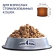Сухий корм для кішок Club 4 Paws Преміум. Для стерилізованих 300 г (4820083909252) - зображення 3