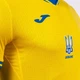 Основная футболка сборной Украины с картой Joma - AT102404B907 - L - Жовтий - изображение 2