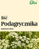 Podagrycznik Liść FLOS Działa Uspokajająco 50G (FL400) - obraz 1