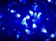 Гирлянда Бахрома на 100 Led (черный кабель) Синяя (3м) - изображение 3
