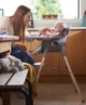 Універсальна коляска 2 в 1 Mamas&Papas Ocarro Onyx - зображення 12