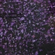 Гель із сухоцвітами Crooz Flower Fairy Gel № 09, 5г - зображення 2