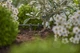 Крапельниця Gardena Micro-Drip-System кінцева вирівнююча тиск 2 л/год, 10 шт (13302-20) - зображення 3
