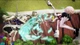 Ключ активации ONE PIECE: PIRATE WARRIORS 4 Deluxe Edition для Xbox One/Series - изображение 5