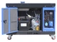Генератор бесшумный дизельный ТАТА JM9000TD 6.0/6.5KW (однофазный, со свечой накала) - изображение 4