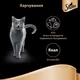 Упаковка влажного корма для кошек Sheba Fine Flakes с индейкой кусочки в желе 24 шт. * 85 г - изображение 6
