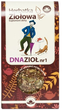 Herbatka NATURA WITA Herbal Dnazioł Nr1 80 g (NW2166) - obraz 1