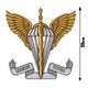 Наклейка на Авто знак ДШВ парашут 15 х15 см - изображение 2