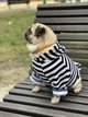 Кофта Diego Худи полоска XXL - изображение 2