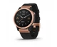 Спортивные часы Garmin Fenix 6S Pro Sapphire Rose Gold with Heathered Black Nylon Band (010-02159-37/36) - изображение 1