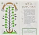 Байки Харківські - Сковорода Григорій - 978-966-97596-8-9 - зображення 5