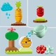 LEGO DUPLO Фермерский огород (10984) - изображение 4