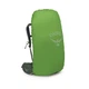 Рюкзак Osprey Kestrel 48 L/XL Оливковий - изображение 5