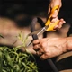 Шланг Fiskars для крапельного поливу 15 м (1025935) - зображення 3