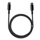 Кабель USB Type-C > USB Type-C Baseus Tungsten Gold Fast Charging Data Cable 100W 1.0m (CATWJ-01) Black - зображення 2