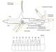 Туристичний інструмент мультитул компактний складаний з пасатижами ножем набором інструментів 9 в 1 (474502-Prob) Чорний - зображення 7