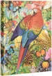 Блокнот Paperblanks Тропический сад 18х23 см 144 страницы без линовки (9781439793053) - изображение 2