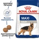 Сухой корм Royal Canin MAXI ADULT для взрослых собак Крупных пород 15 кг - изображение 2