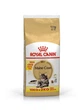 Сухой корм Royal Canin MAINECOON ADULT для взрослых кошек породы Мейн Кун 10+2 кг (3182550798136) - изображение 1