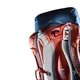 Рюкзак Deuter Trail PRO 34 SL 3441219 3523 - изображение 6
