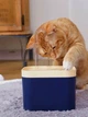 Фонтан-поїлка для котів і собак Hipidog 1.5L з фільтром, Синій (130-BLUE) - зображення 5