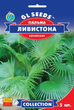 Семена Пальма Ливистона, китайская, 5 шт (GL Seeds) - изображение 1