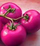 Семена Томат Очарование, 0,2 г (GL Seeds) - изображение 4